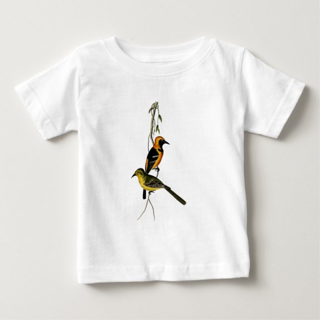Vintage Hooded Oriole Bird Baby T-Shirt (Front)