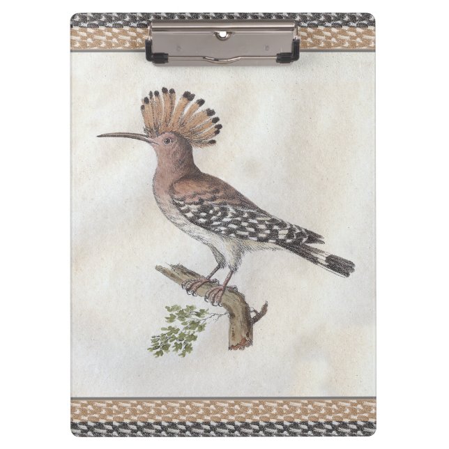 Vintage Hoopoe Engraving Clipboard (Front)