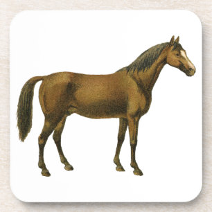 Vintage Horse Coaster