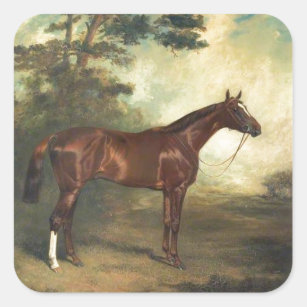 Vintage Horse Equestrian Square Sticker