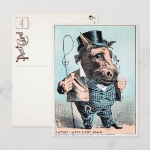Vintage Horse Man Postcard