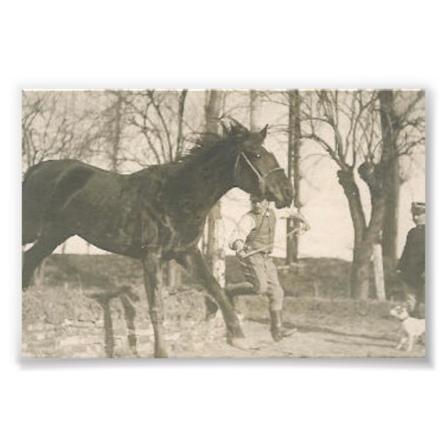 Vintage Horse Photo (Front)