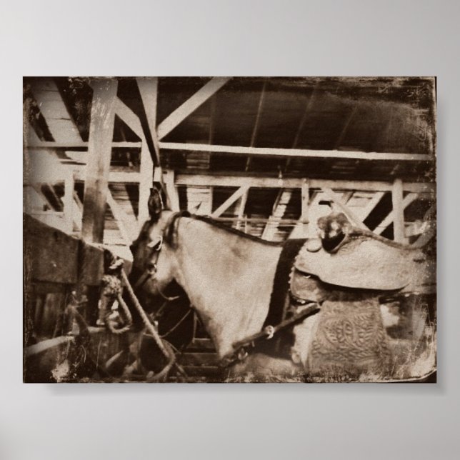 Vintage Horse Poster (Front)