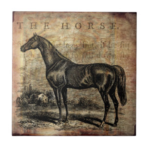 Vintage Horse Thoroughbred and Arabian Horses Tile