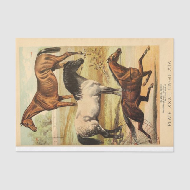 Vintage Horses Ephemera Decoupage Tissue Paper (Front)