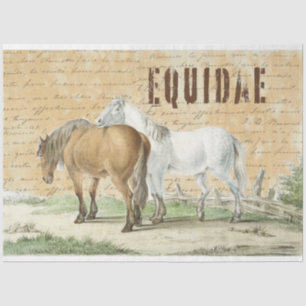 Vintage Horses in Pasture Country Tissue Paper