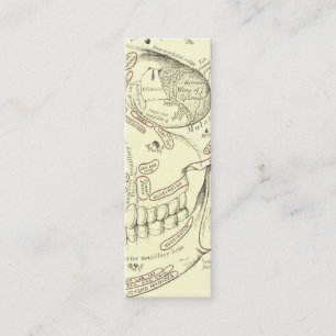 Vintage Human Anatomy Anterolateral Skull Segment Mini Business Card