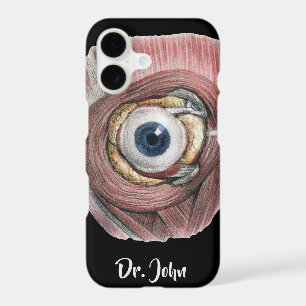 Vintage Human Anatomy, Eyeball Eye with Muscles