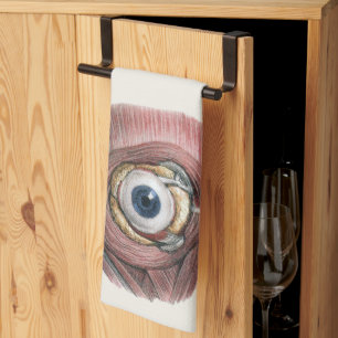 Vintage Human Anatomy, Eyeball Eye with Muscles Tea Towel