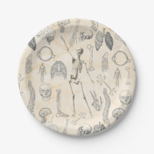 Vintage Human Anatomy for Doctor Paper Plate