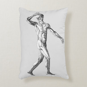 Vintage Human Anatomy, Male Body Muscles Decorative Cushion