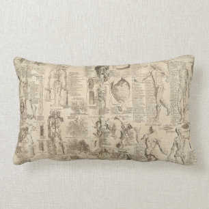 Vintage human anatomy pillow