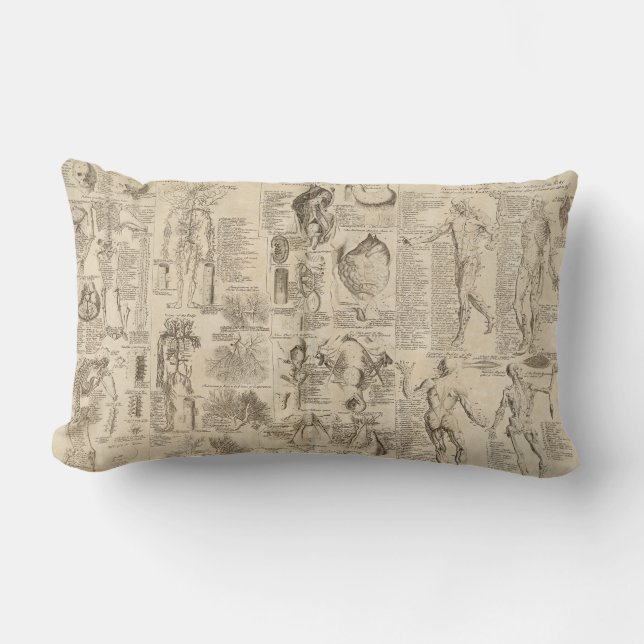Vintage human anatomy pillow (Front)