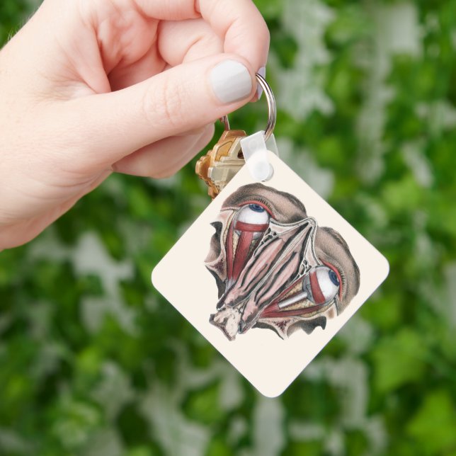 Vintage Human Anatomy Science, Eyeballs Eyes Key Ring (Hand)
