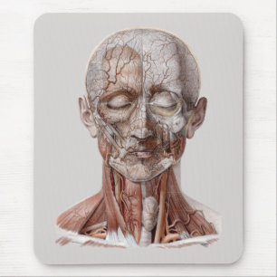 Vintage Human Anatomy Science, Head Throat Nose Mouse Pad