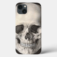 Vintage Human Anatomy Skull, Halloween Skeleton