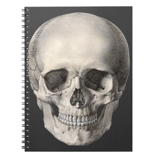 Vintage Human Anatomy Skull, Halloween Skeleton Spiral Notebook (Front)