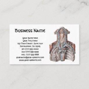 Vintage Human Anatomy Throat, Neck, Chest, Ribs Business Card