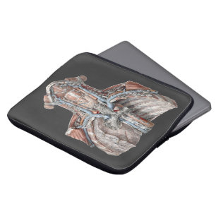 Vintage Human Anatomy Throat, Neck, Chest, Ribs Laptop Sleeve