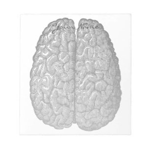 Vintage Human Brain Illustration Notepad