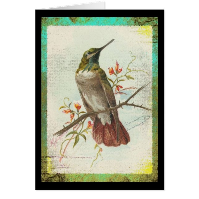 Vintage Hummingbird (Front)