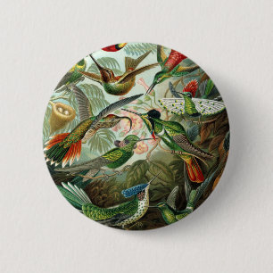 Vintage hummingbird Antique Art Print 6 Cm Round Badge