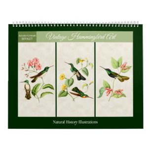 Vintage Hummingbird Art 2026 Calendar