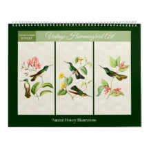 Vintage Hummingbird Art 2027