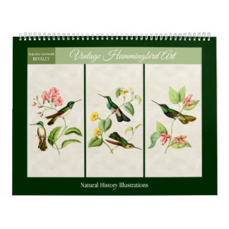 Vintage Hummingbird Art 2027 Calendar