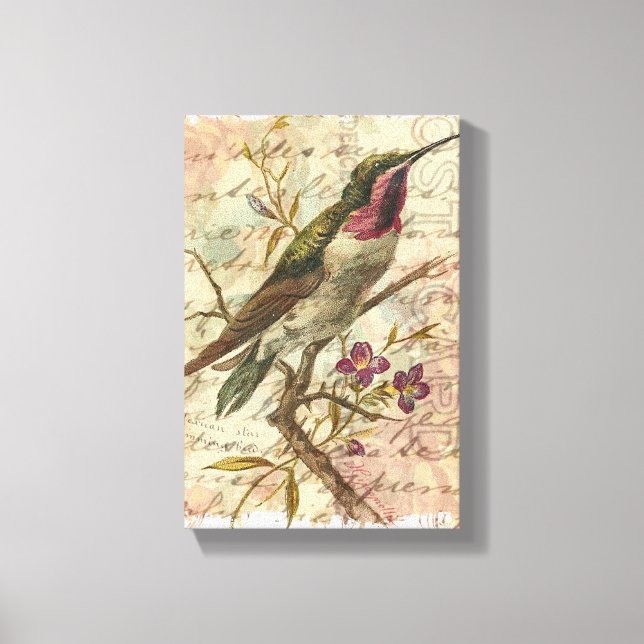 Vintage Hummingbird Canvas Print (Front)