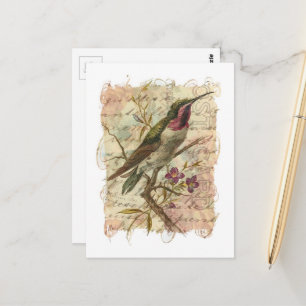 Vintage Hummingbird Collage Postcard