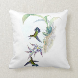 Vintage Hummingbird Illustration Green Purple Cushion