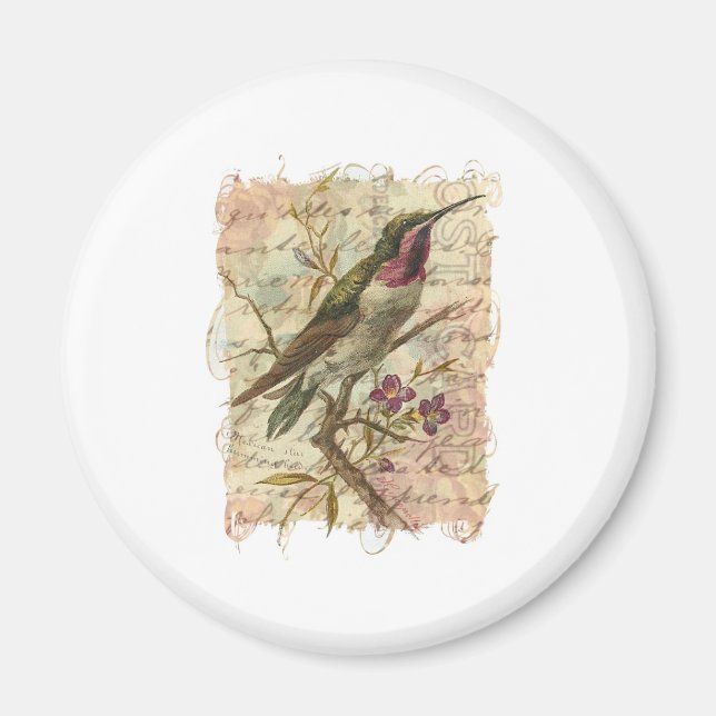Vintage Hummingbird Magnet (Front)