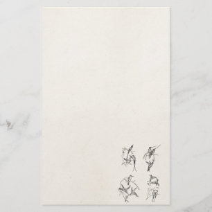 Vintage Hummingbird Species Personalised Birds Stationery