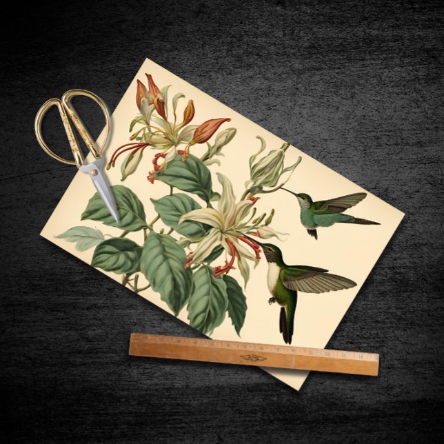 Vintage Hummingbirds and Honeysuckle Decoupage Tissue Paper (Creator Uploaded)