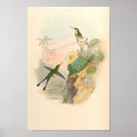 Vintage Hummingbirds Art Bird Print Flowers Cactus