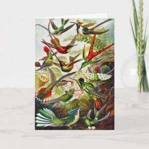 Vintage Hummingbirds by Ernst Haeckel Card