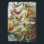 Vintage Hummingbirds by Ernst Haeckel iPad Pro Cover<br><div class="desc">Hummingbirds by Ernst Haeckel.Vintage Trochilidae Kolibris illustration. This is from Kunstformen der Natur (1904). This birds illustration shows beautiful colourful flying hummingbirds.</div>