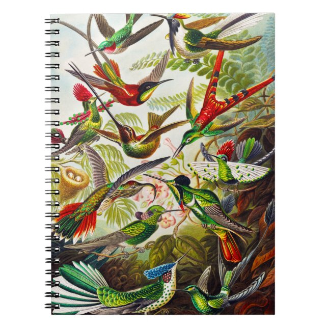 Vintage Hummingbirds by Ernst Haeckel Notebook (Front)