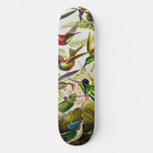 Vintage Hummingbirds by Ernst Haeckel Skateboard