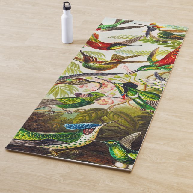 Vintage Hummingbirds by Ernst Haeckel Yoga Mat (In Situ)