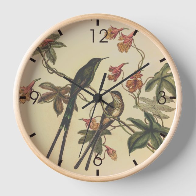 Vintage Hummingbirds by John Gould Clock (Front)