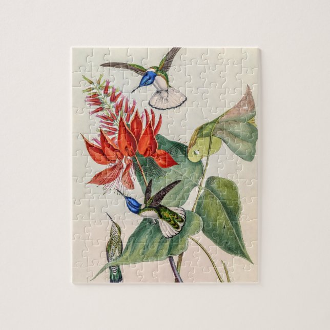 Vintage Hummingbirds by John Gould Jigsaw Puzzle (Vertical)