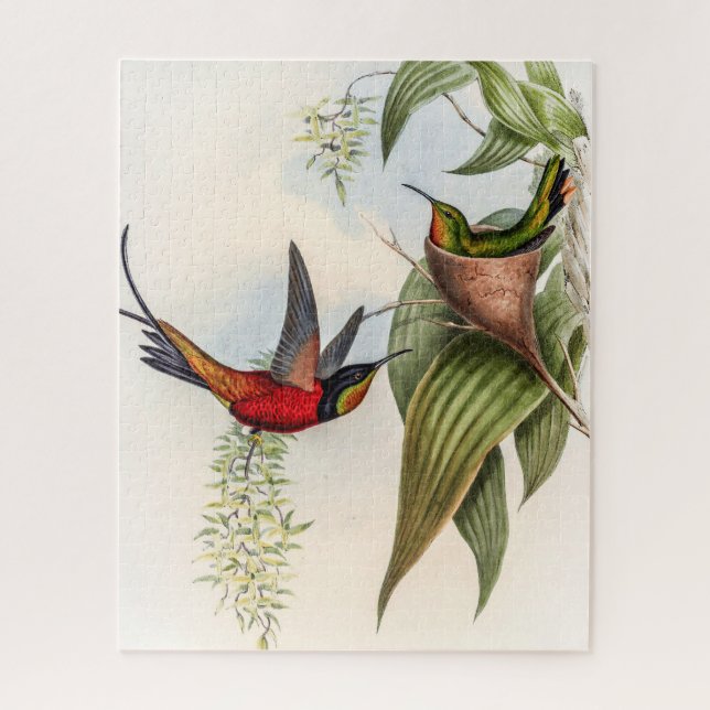 Vintage Hummingbirds by John Gould Jigsaw Puzzle (Vertical)