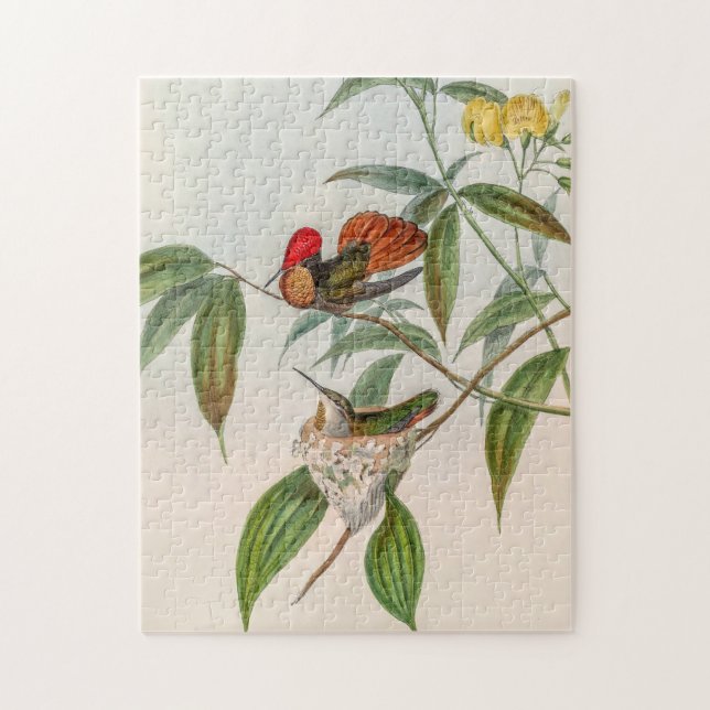Vintage Hummingbirds by John Gould Jigsaw Puzzle (Vertical)