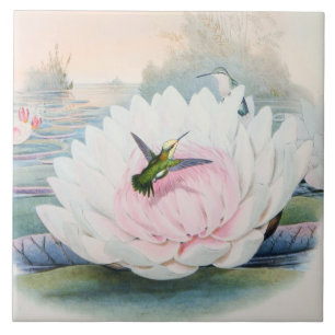 Vintage Hummingbirds & Lotus Flower by John Gould Tile