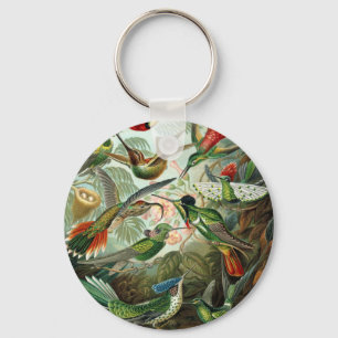Vintage hummingbirds scientific illustration key ring