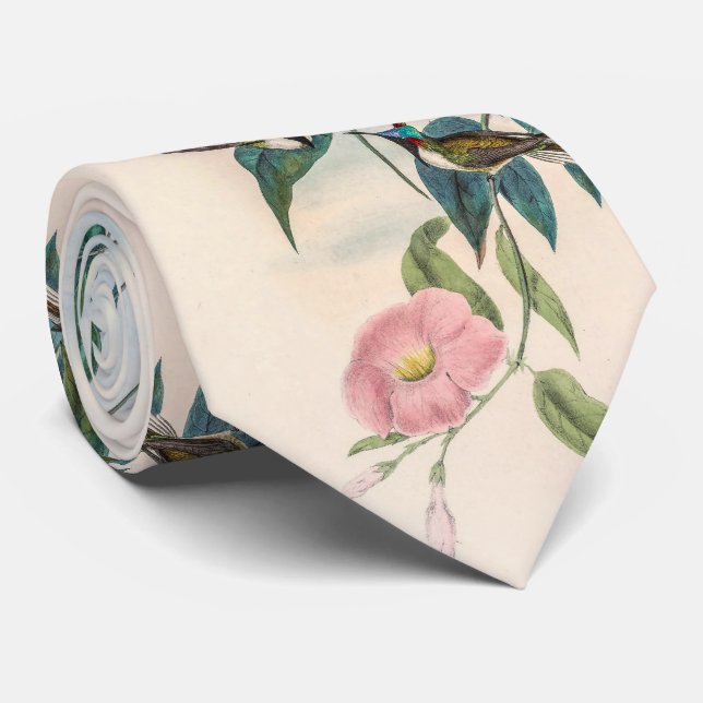 Vintage hummingbirds tie (Rolled)