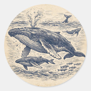 Vintage Humpback Whale Pod Engraving Classic Round Sticker