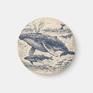 Vintage Humpback Whale Pod Engraving Magnet
